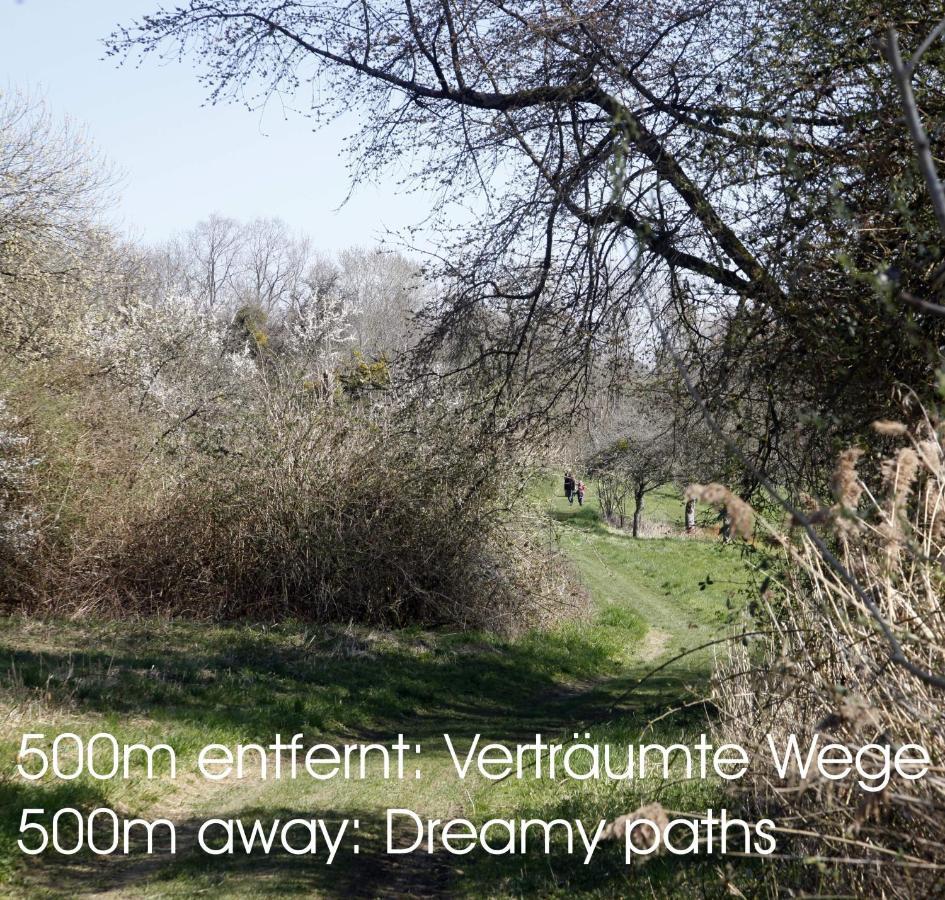 Passivhaus 750M Vom Bodensee -- 2X E-Bike Inklusive -- Neubau 2019 Am Ortsrand Онинген Екстериор снимка