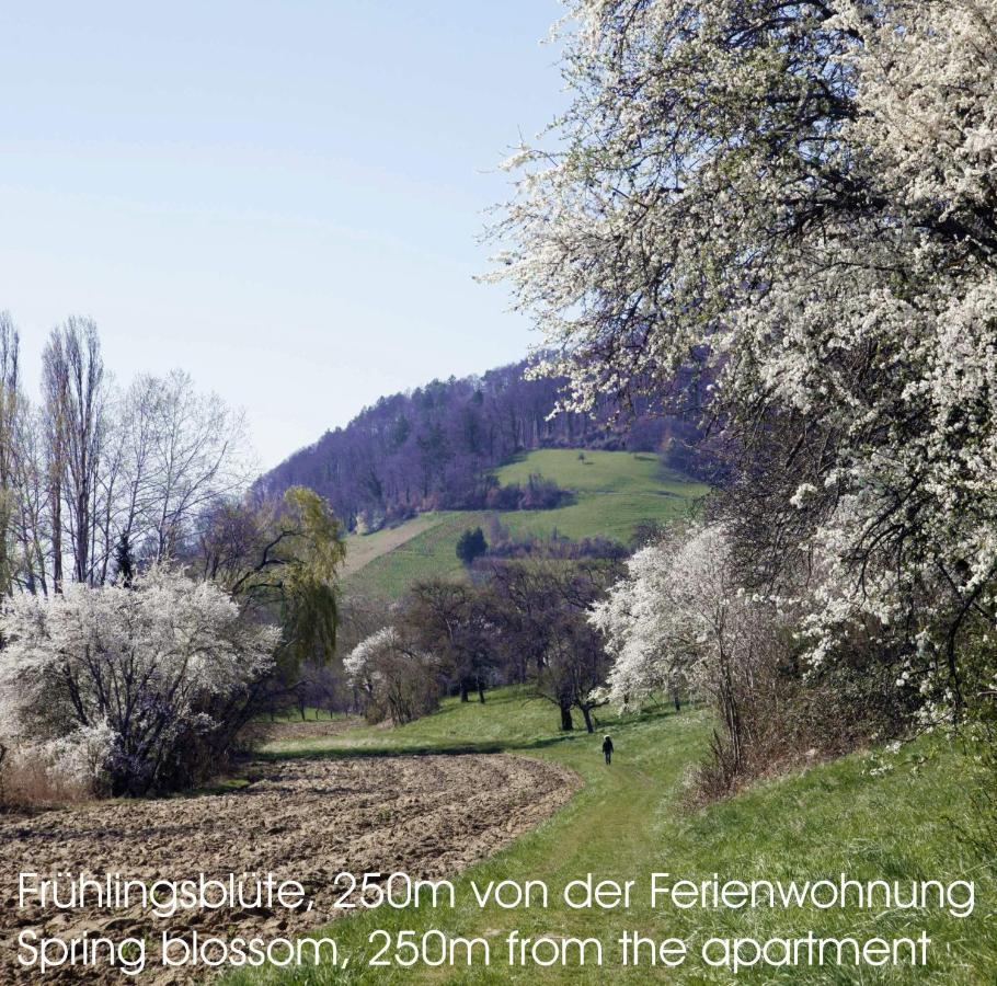 Passivhaus 750M Vom Bodensee -- 2X E-Bike Inklusive -- Neubau 2019 Am Ortsrand Онинген Екстериор снимка
